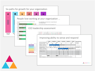 Examples of consulting reports and proposals